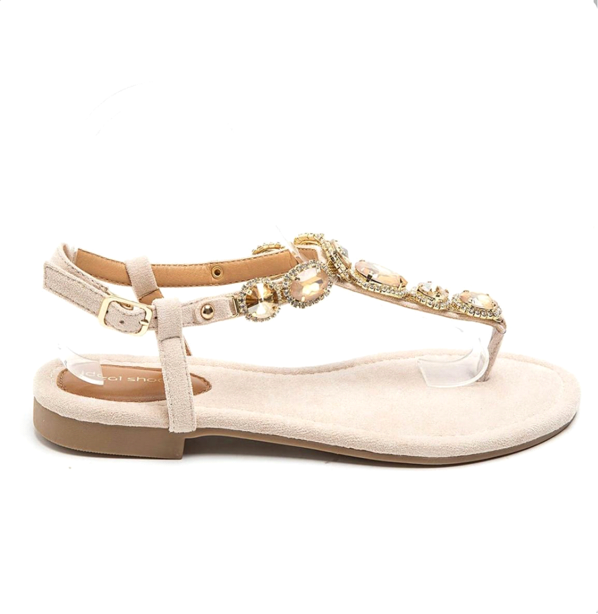 Rotterdam flipflops